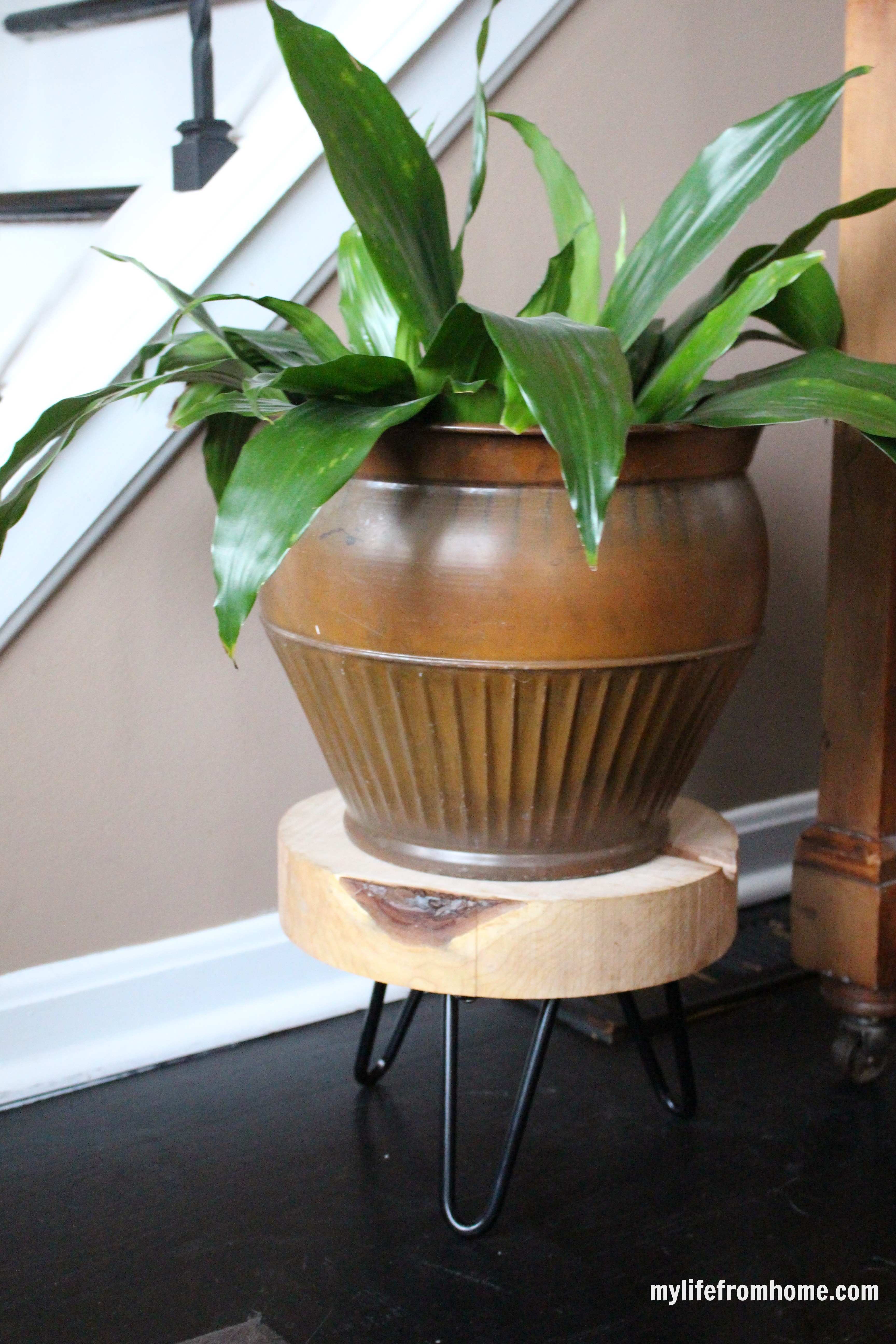 Rustic Plant Stand with Hairpin Legs by www.whitecottagehomeandliving.com