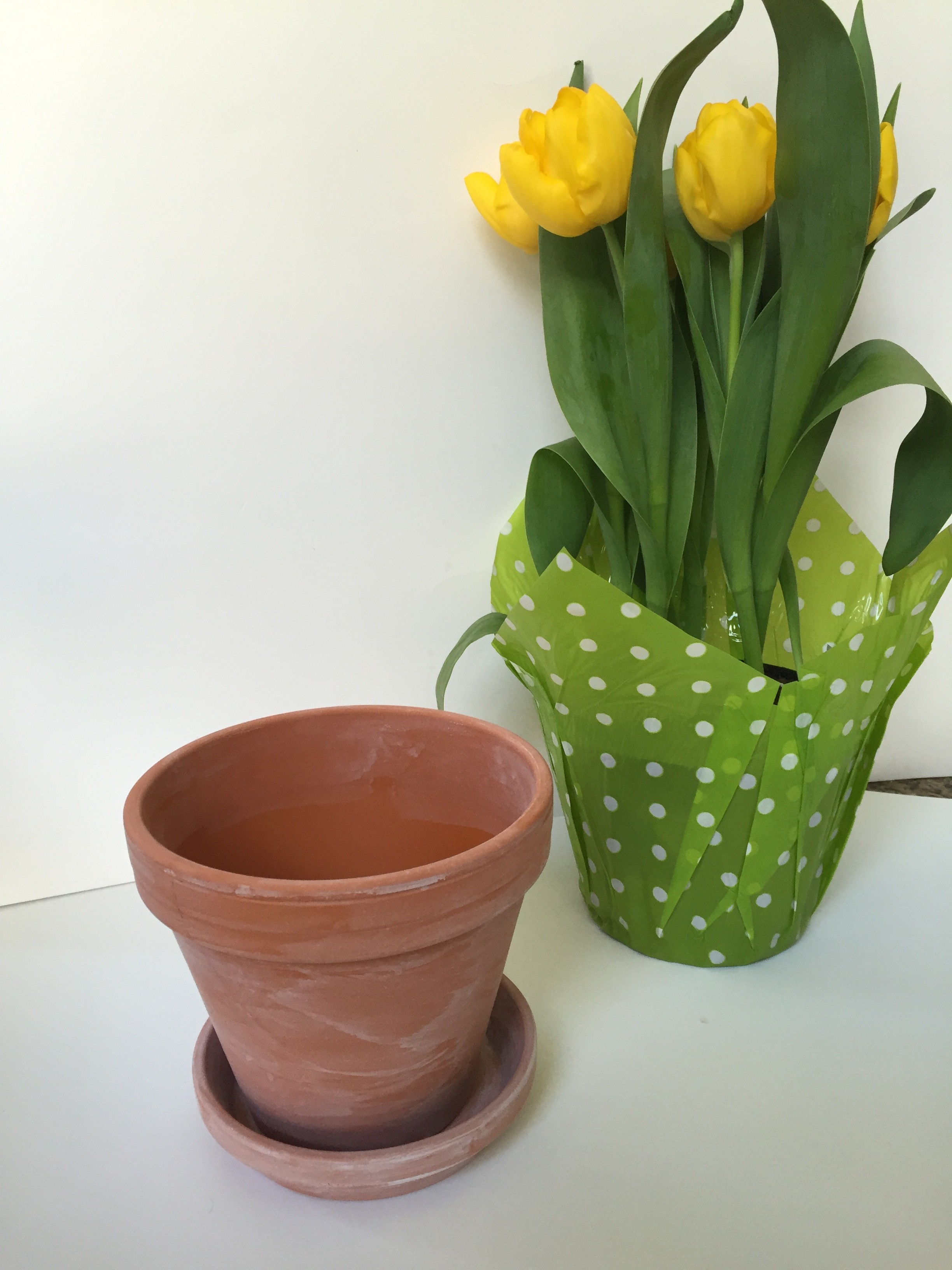 Whitewashed Flower Pots by www.whitecottagehomeandliving.com