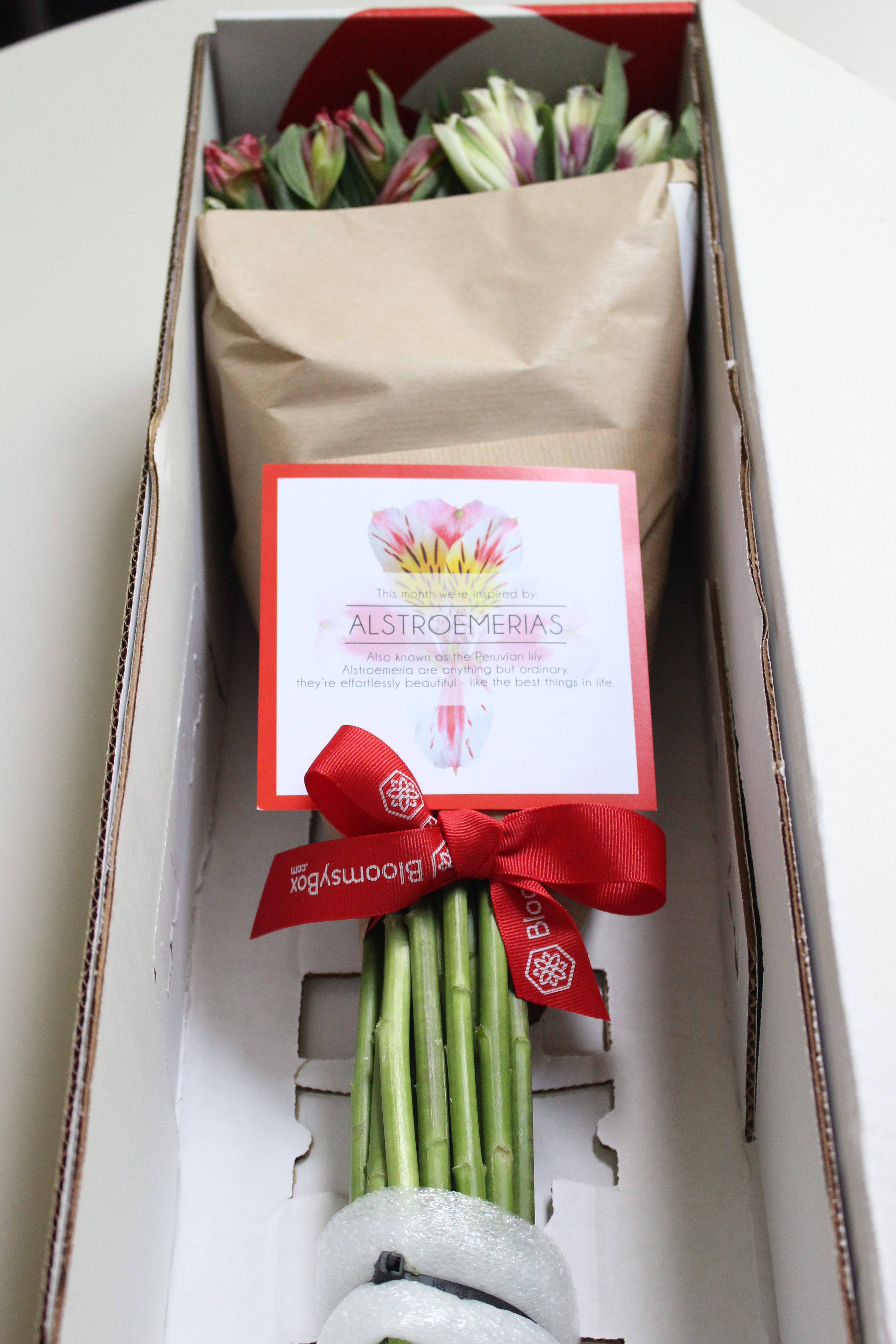 Bloomsy Box Subscription Box by www.whitecottagehomeandliving.com