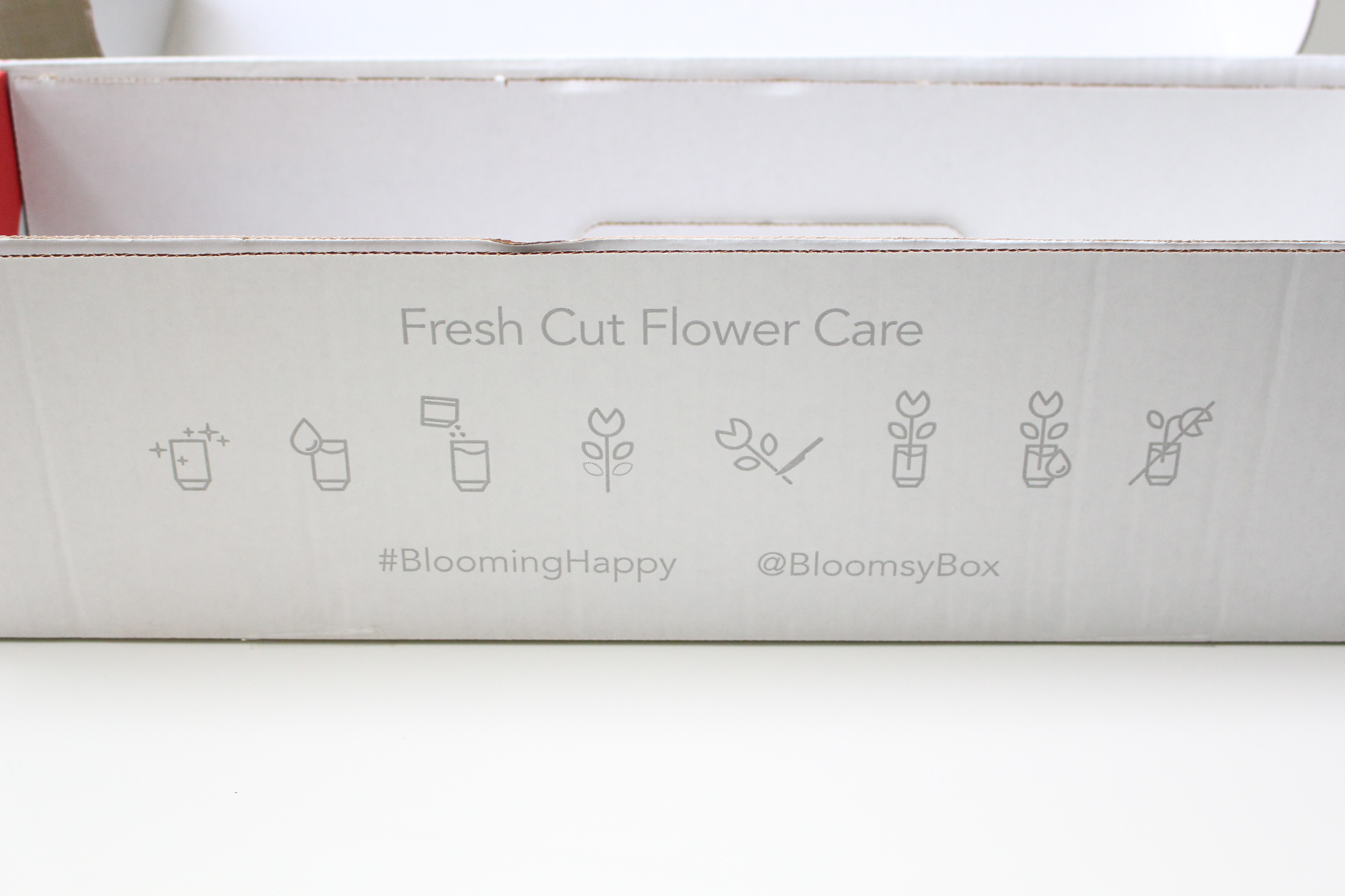 Bloomsy Box Monthly Flower Delivery by www.whitecottagehomeandliving.com