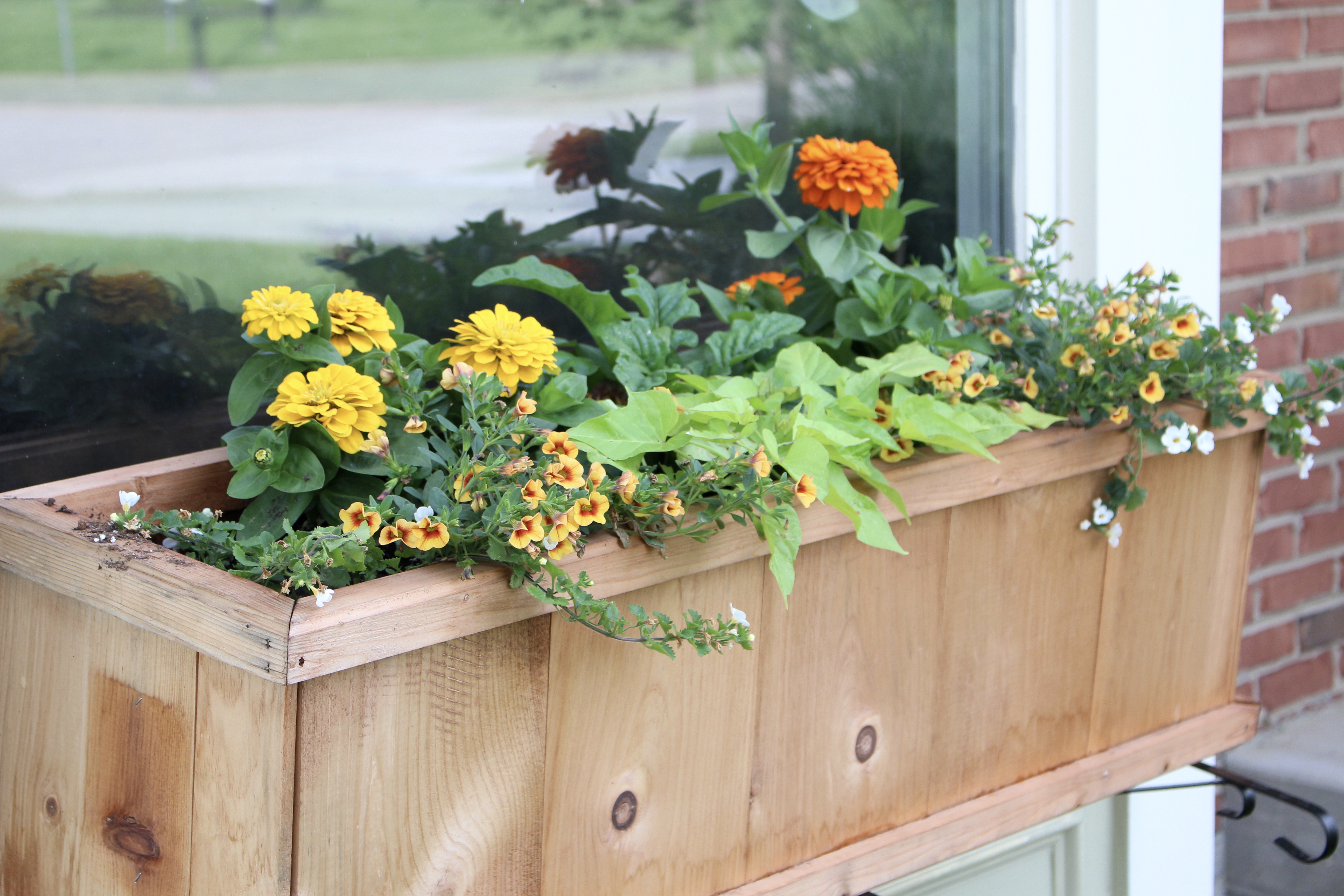 Summer Window Box Plantings for Garden Hop Tour by www.whitecottagehomeandliving.com