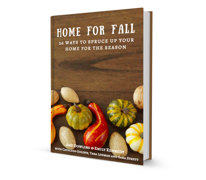 Home for Fall 3-D Cover