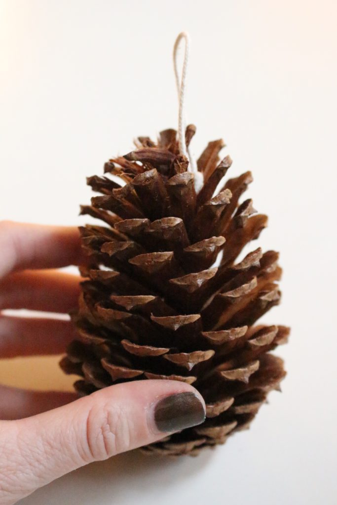 Tying a wick around a pinecone
