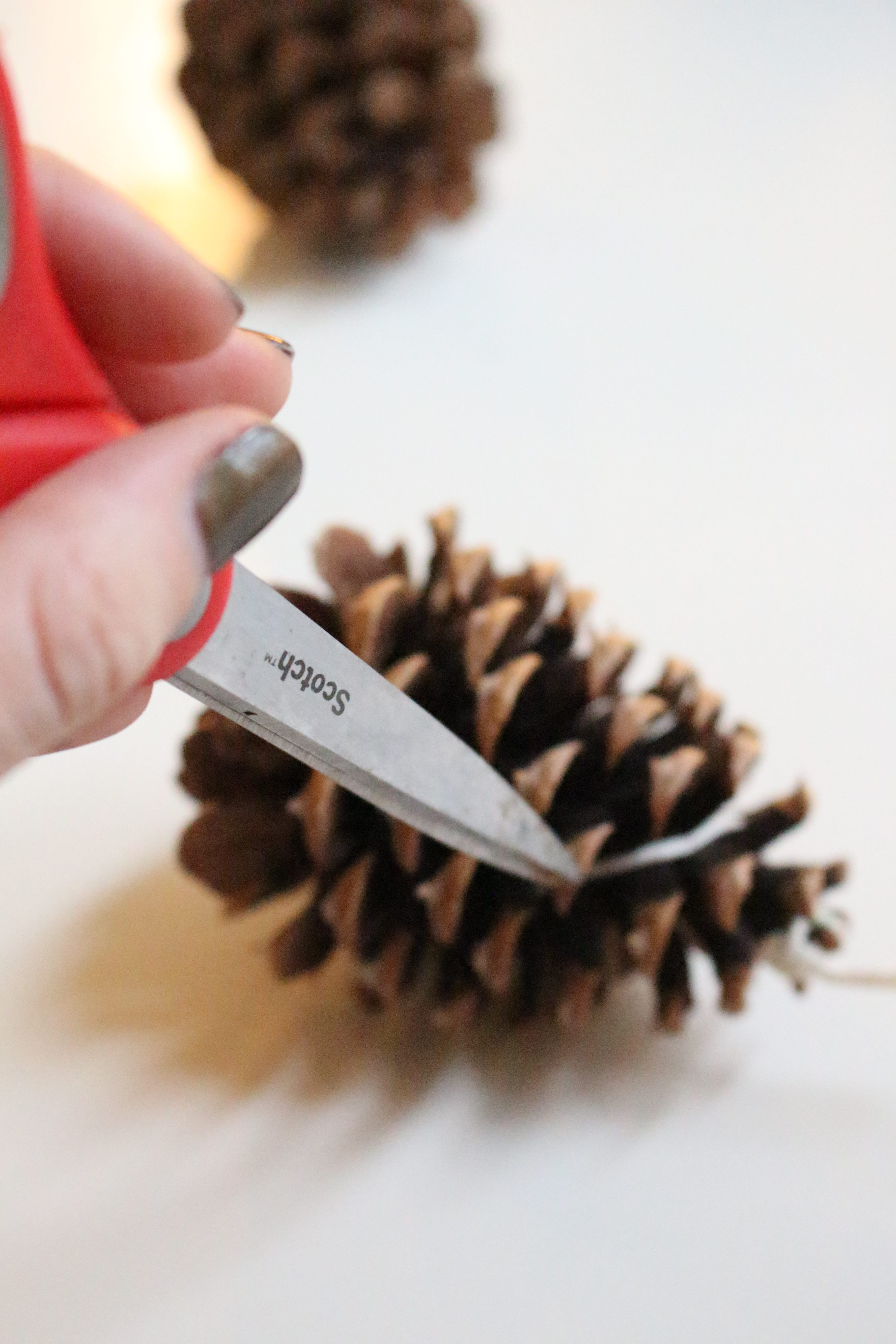 How to make Pinecone Fire Starters- crafts- wint