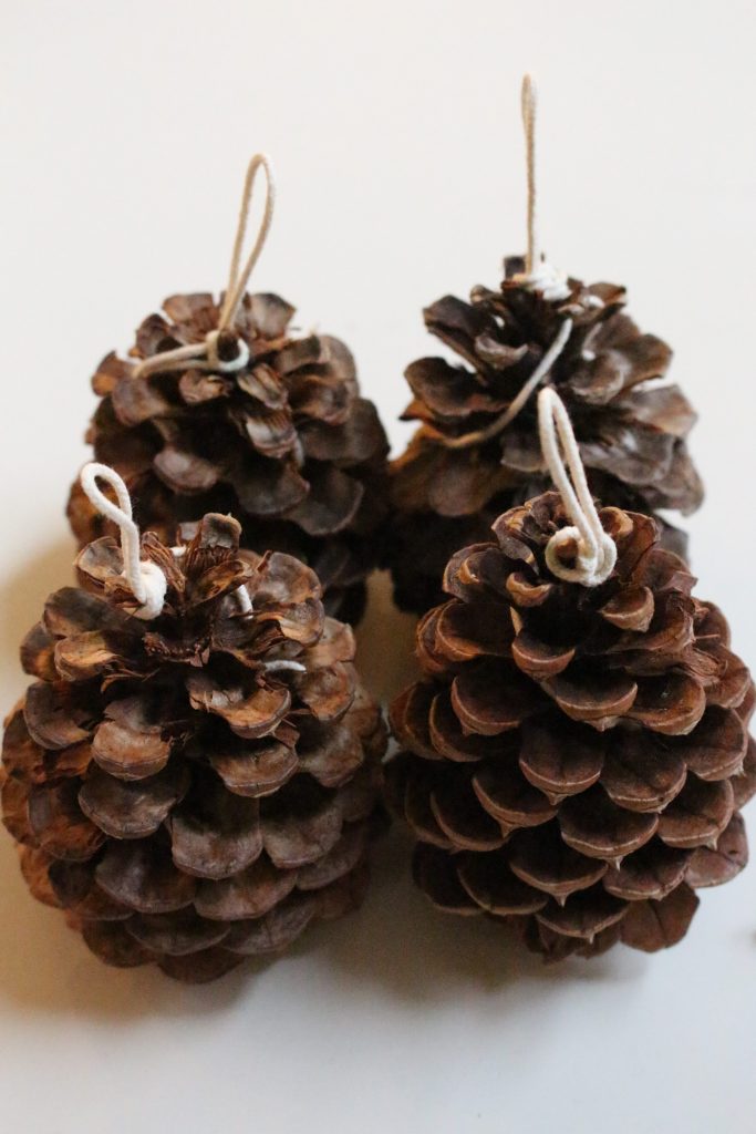 wicks tied around pinecones for fire starters