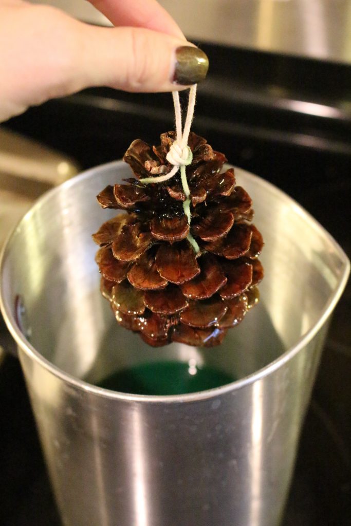 A pinecone dipped in green wax