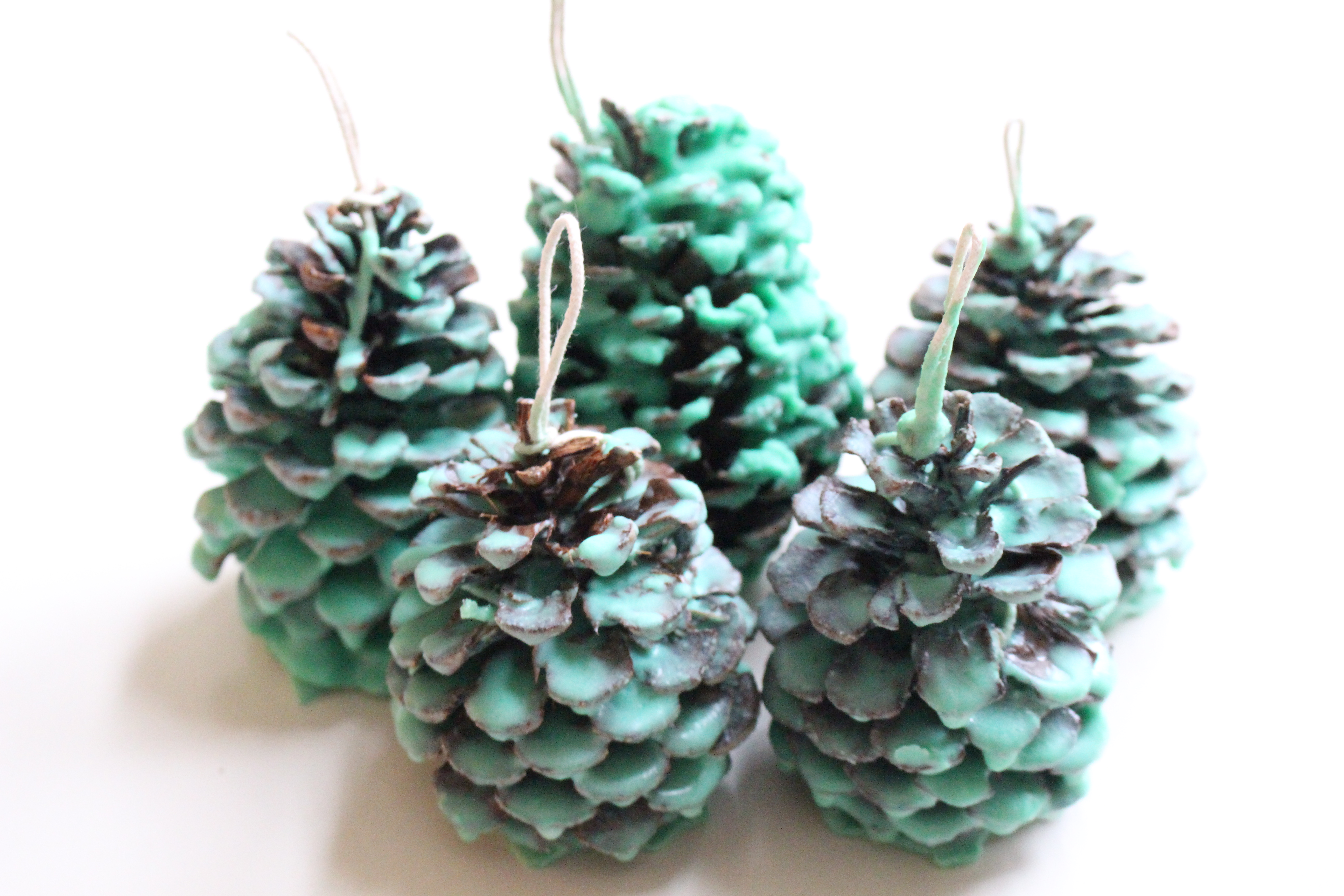 How to make Pinecone Fire Starters- crafts- wint