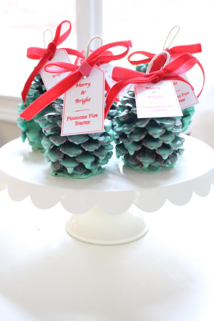 Pinecone fire starters finished and ready to gift