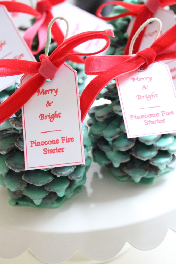 Tagged pinecone fire starters