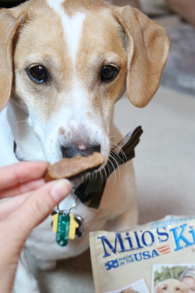 Meijer Stores- Milo's home-style dog treats- Irving- dog- food- chicken- beef- dog food