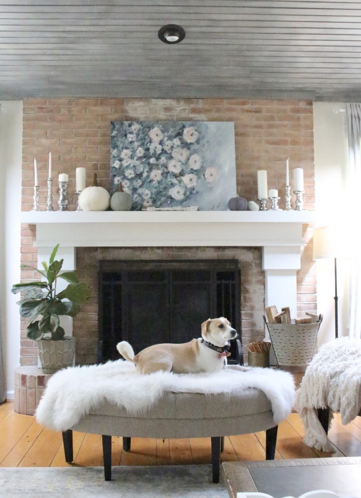 Fall pastels in our family room- pastel colors- neutrals- decorating for fall with pastel- seasonal decor- fall- autumn- living space- room design- wall decor- fall decor- pink- green- gray for autumn