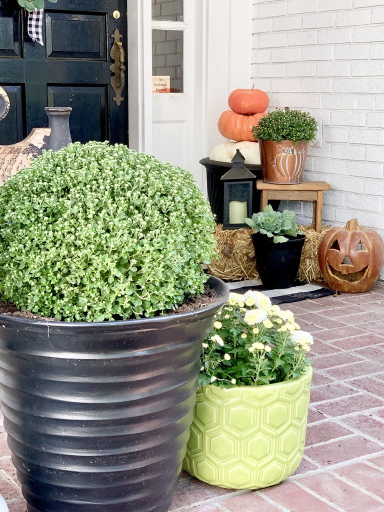 Fall Porch with Touches of Halloween, front porch decor, fall porch decor, pumpkins, decorating for Halloween, lanterns, porch decorating, fall, layered rugs, mums, porch bench, fall wreath