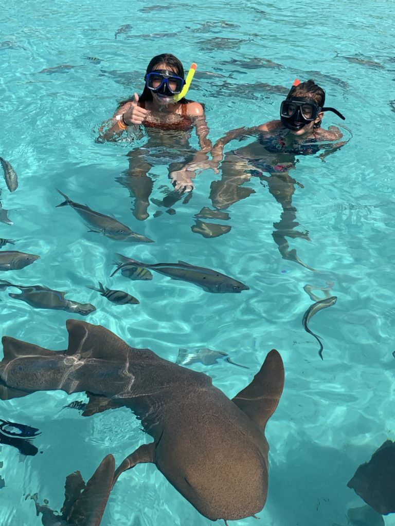 Exuma- Bahamas- swimming with the pigs- swimming pigs- vacation- family vacation- trip- beaches- Caribbean- Grand Isle Resort- Coco Plum Beach, ocean- beach swing- nurse sharks