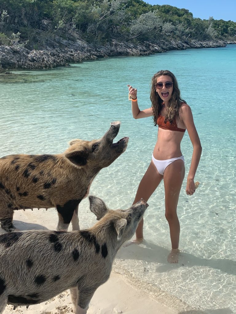 Exuma- Bahamas- swimming with the pigs- swimming pigs- vacation- family vacation- trip- beaches- Caribbean- Grand Isle Resort- Coco Plum Beach, ocean- beach swing