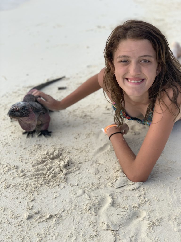 Exuma- Bahamas- swimming with the pigs- swimming pigs- vacation- family vacation- trip- beaches- Caribbean- Grand Isle Resort- Coco Plum Beach, ocean- beach swing- iguanas
