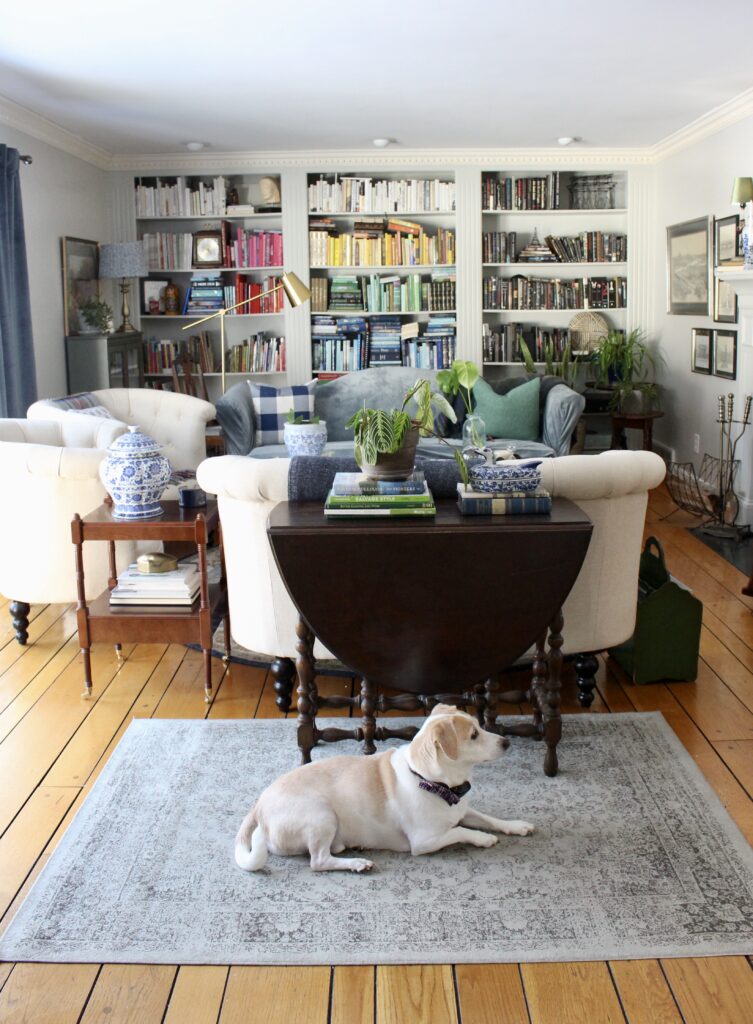 Full view of colourful home library with built-in bookshelves, gate-leg table, tufted armchairs, and dog resting on rug