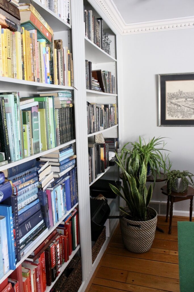 Close-up of built-in bookshelves with colourful book spines arranged by colour alongside snake plant and spider plant