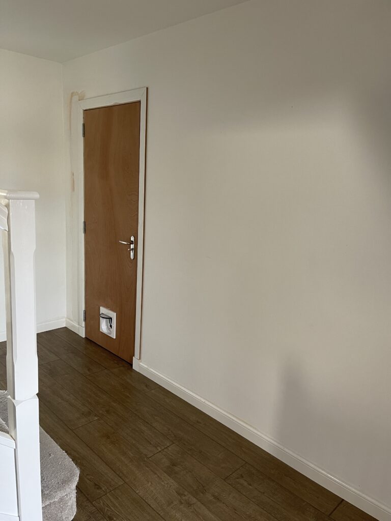 Hallway during renovation showing new garage door with cat flap and plain white walls before panelling