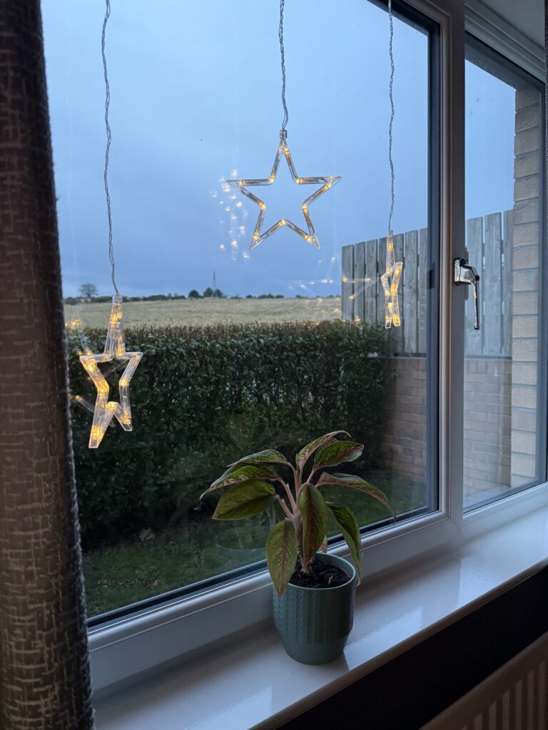 Christmas star lights during the day