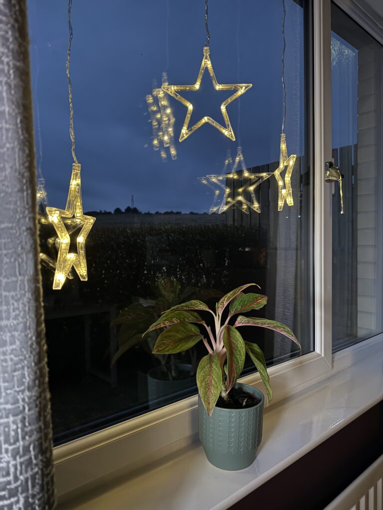 Christmas window star lights during the night