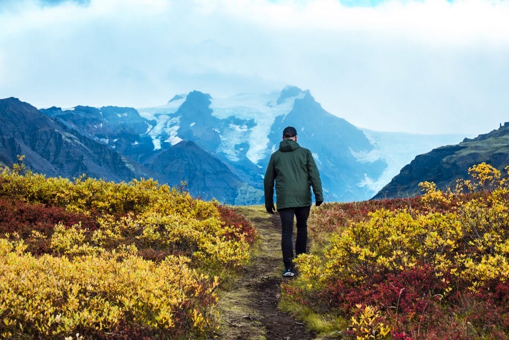 Person hiking through vivid autumn shrubs towards a glacier-capped mountain in Iceland