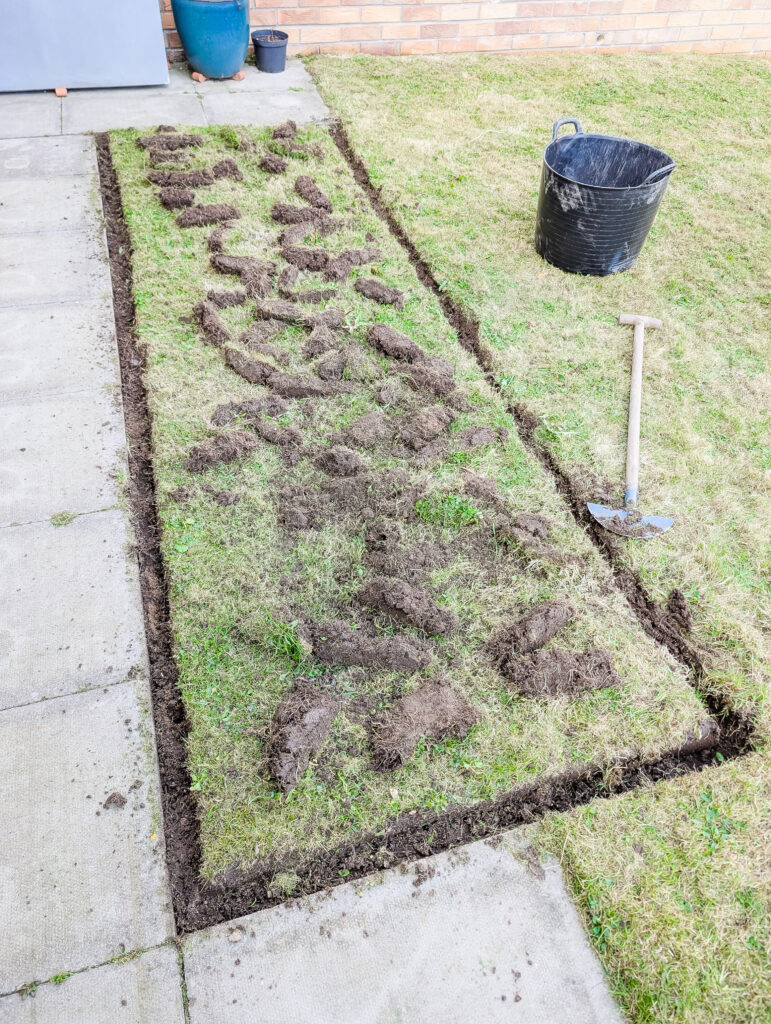Cutting out the turf with a spade to prepare the ground for the raised vegetable planter frame