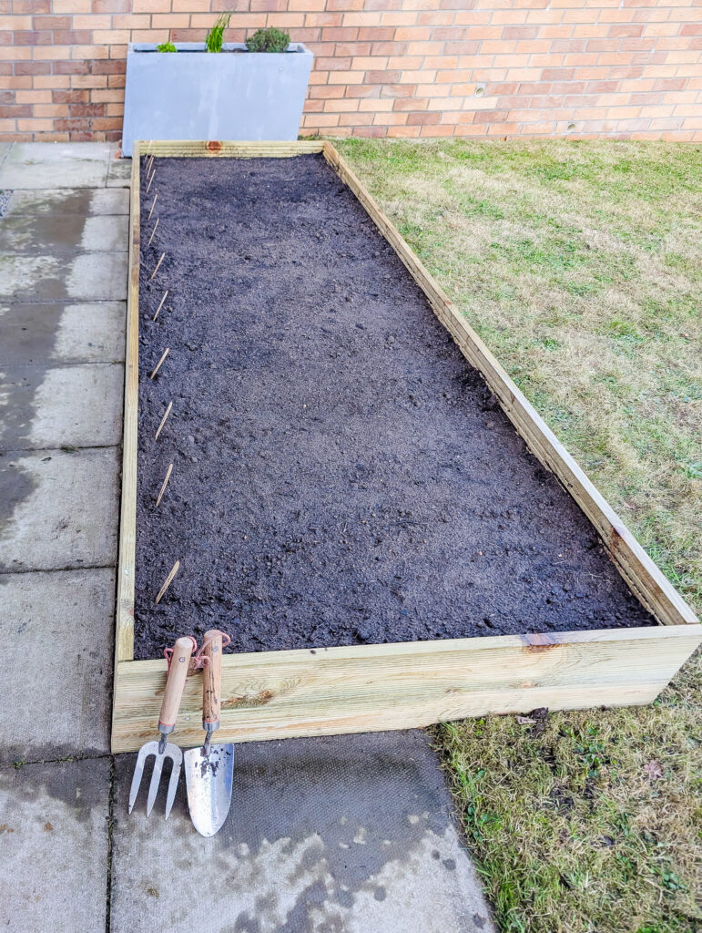 The completed raised vegetable planter with hand tools and wooden fork seed markers showing where seeds have been sown
