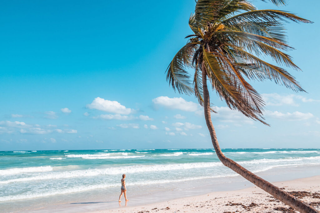 Iconic leaning palm tree on a white sand Tulum beach with vivid blue Caribbean water