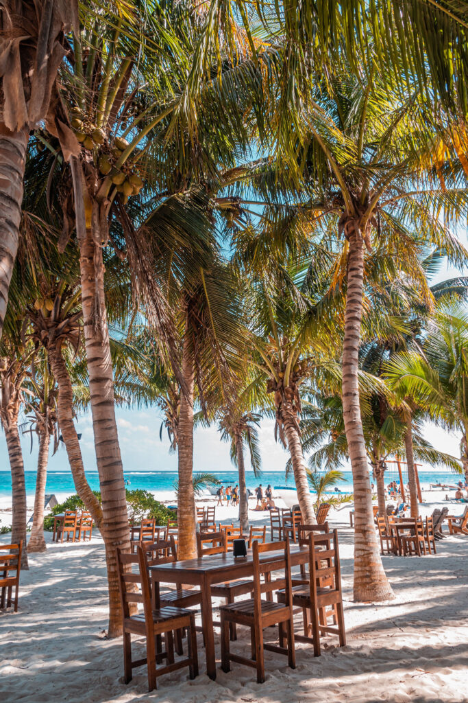 Wooden tables and chairs at a beachside restaurant in Tulum shaded by tall palm trees