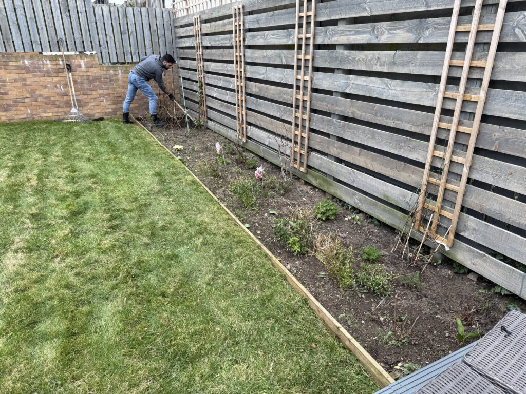 Digging out the flower beds after a harsh winter