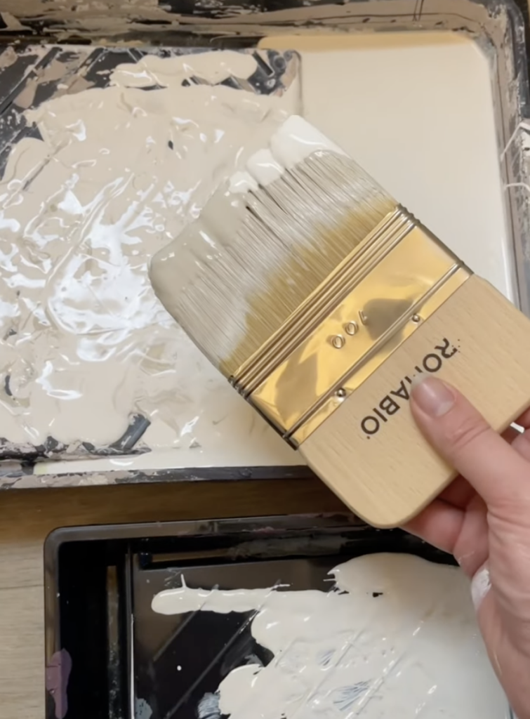 romabio brush held up showing both paint colours with two separate paint trays below