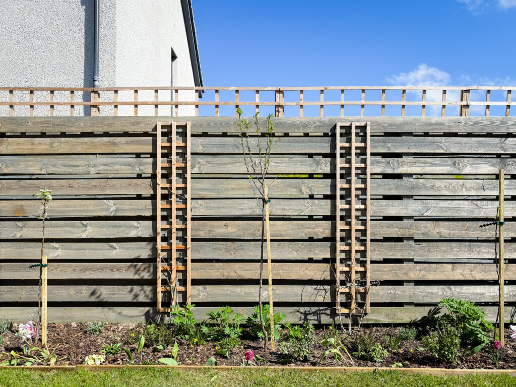 A horizontal slatted wooden garden fence featuring two vertical trellises and young climbing plants.